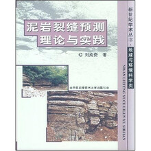 泥岩裂缝预测理论与实践