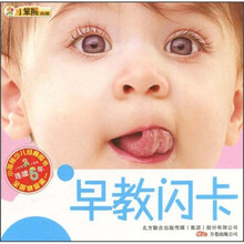 小笨熊典藏：早教闪卡