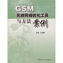 GSM无线网络优化工具与方法案例