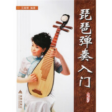 琵琶弹奏入门
