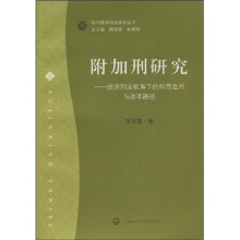 附加刑研究：经济刑法视角下的刑罚适用与改革路径