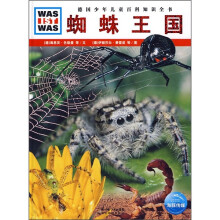 蜘蛛王国