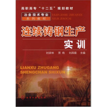 连续铸钢生产实训
