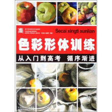 色彩形体训练：从入门到高考 循序渐进