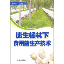 速生杨林下食用菌生产技术
