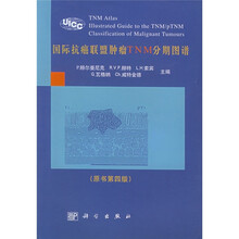 国际抗癌联盟肿瘤 TNM 分期图谱(翻译版)(原书第4版)