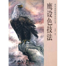 美术基础教学系列丛书：鹰设色技法