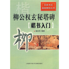 名家书法基础教程丛书·柳公权玄秘塔碑：楷书入门
