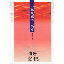 海岩文集:一场风花雪月的事
