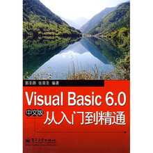 Visual Basic 6.0中文版从入门到精通
