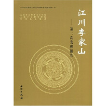 江川李家山:第二次发掘报告