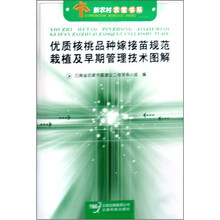 优质核桃品种嫁接苗规范栽植及早期管理技术图解