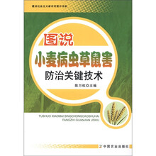 建设社会主义新农村图示书系：图说小麦病虫草鼠害防治关键技术