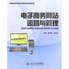 全国高等院校电子商务类规划教材:电子商务网站运营与管理
