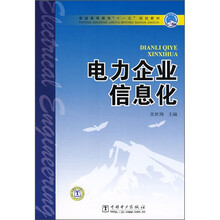 普通高等教育“十一五”规划教材：电力企业信息化
