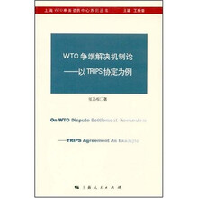 WTO争端解决机制论：以TRIPS协定为例