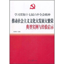 学习贯彻十七届六中全会精神：推动社会主义文化大发展大繁荣典型实例与经验启示