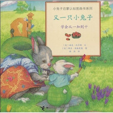 小兔子启蒙认知图画书系列·又一只小兔子：学会从1加到10