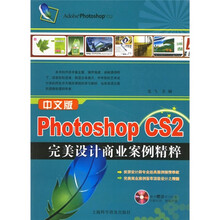中文版Photoshop CS2完美设计商业案例精粹（附光盘）