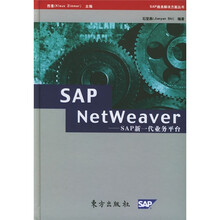 SAP NetWeaver：SAP新一代业务平台