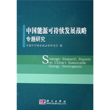 中国能源可持续发展战略专题研究