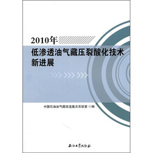 2010年低渗透油气藏压裂酸化技术新进展