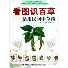 看图识百草：活用民间中草药