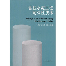 含盐水泥土桩耐久性技术