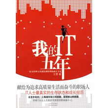 我的IT五年