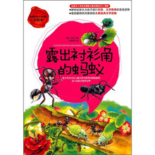 露出衬衫角的蚂蚁（美绘本）