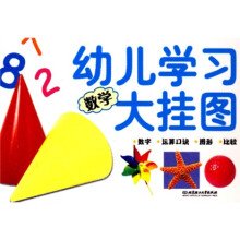 幼儿学习大挂图：数学