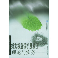 妇女权益保护及救济理论与实务