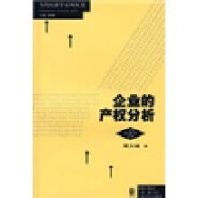 企业的产权分析