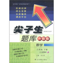 尖子生题库:数学(6年级下册)(人教版·升级版)