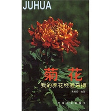 菊花：我的养花经验采撷