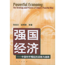 强国经济：中国和平崛起的战略道路
