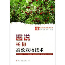 图说杨梅高效栽培技术