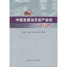 中国发展油页岩产业的可行性