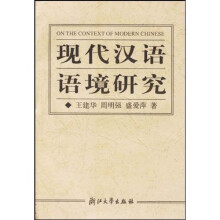 现代汉语语境研究