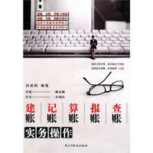 建账、记账、算账、报账、查账实务操作