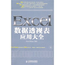 Excel数据透视表应用大全（附赠DVD光盘1张）