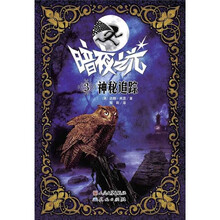 暗夜之光3:神秘追踪