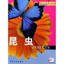 大眼睛看世界·动物乐园:昆虫(适合4-7岁)