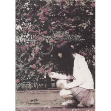 壹树花蕾