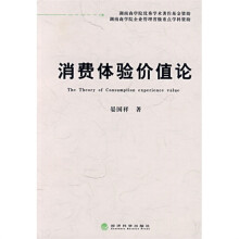 消费体验价值论