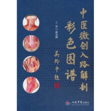 中医微创入路解剖彩色图谱