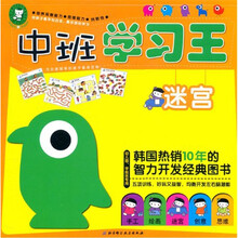 中班学习王（迷宫幼儿园学前班专用）