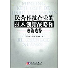 民营科技企业的技术创新战略和政策选择