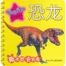 聪明宝贝脑力启蒙书：恐龙