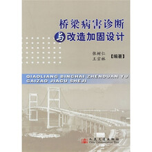 桥梁病害诊断与改造加固设计